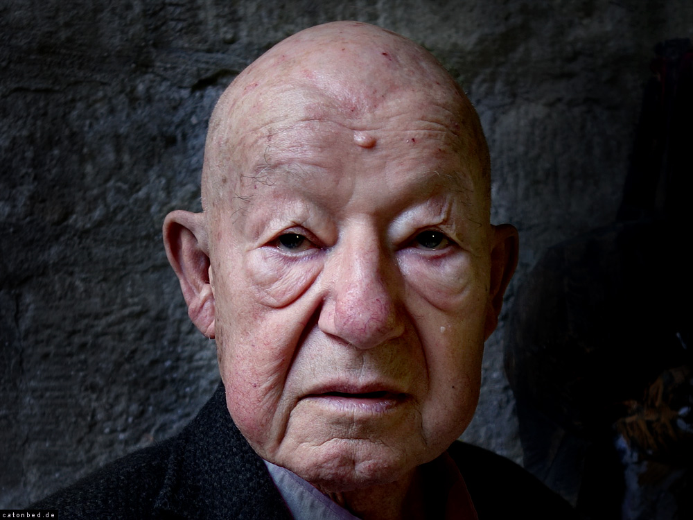 Jürgen Holtz, Schauspieler