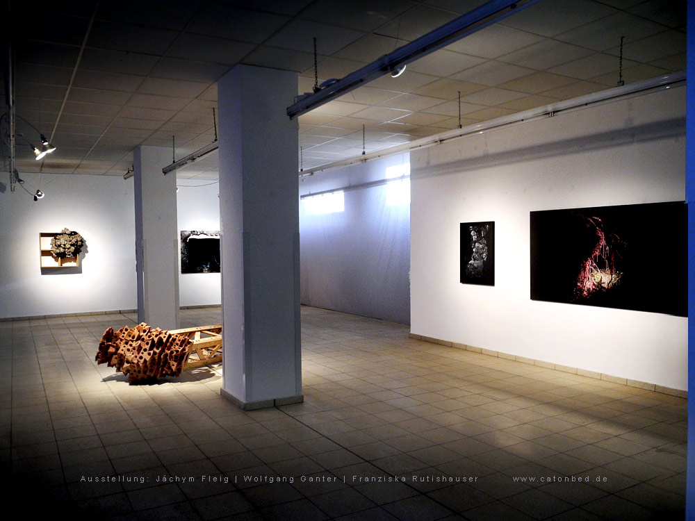 Ausstellung J&aacute;chym Fleig | Wolfgang Ganter | Franziska Rutishauser