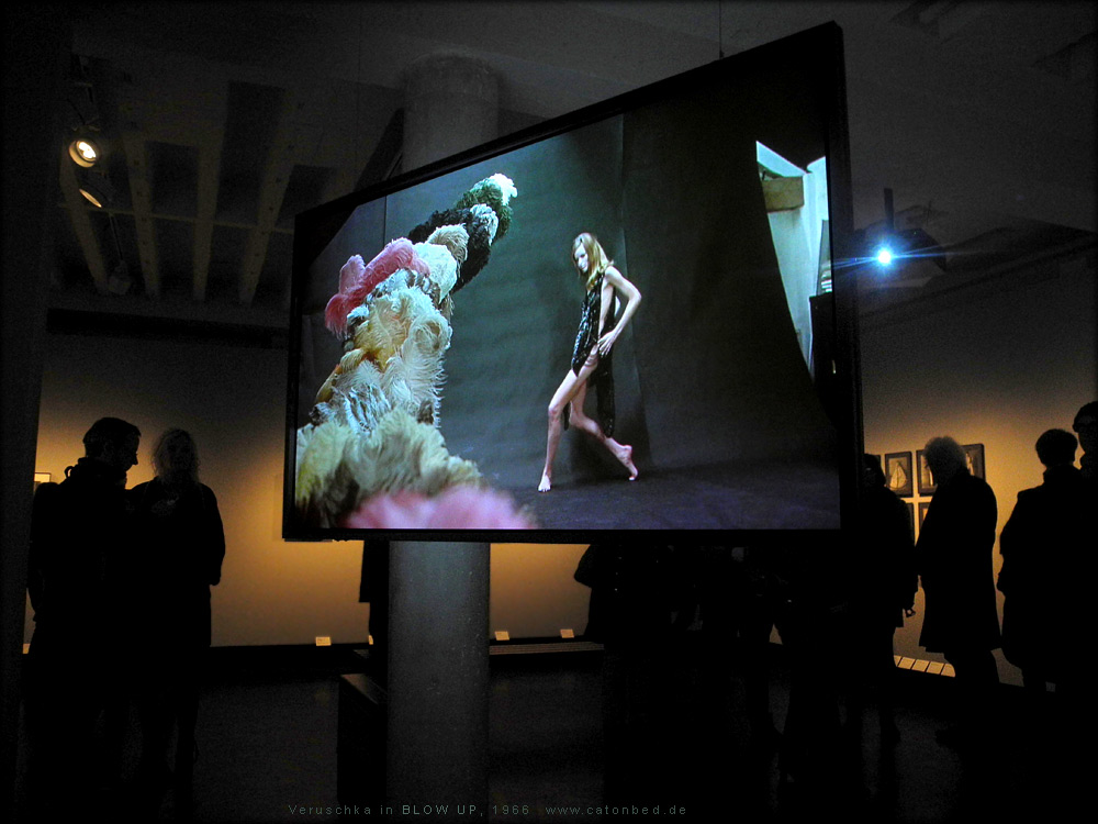 Blow Up - Veruschka