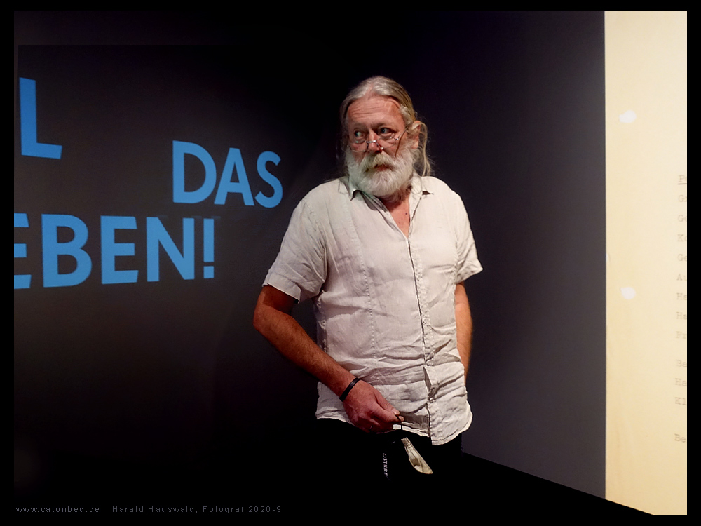 Harald Hauswald - Voll das Leben!