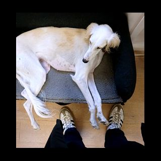 Galerie Bertram Bernet&nbsp;: Li Zhi: Nova 