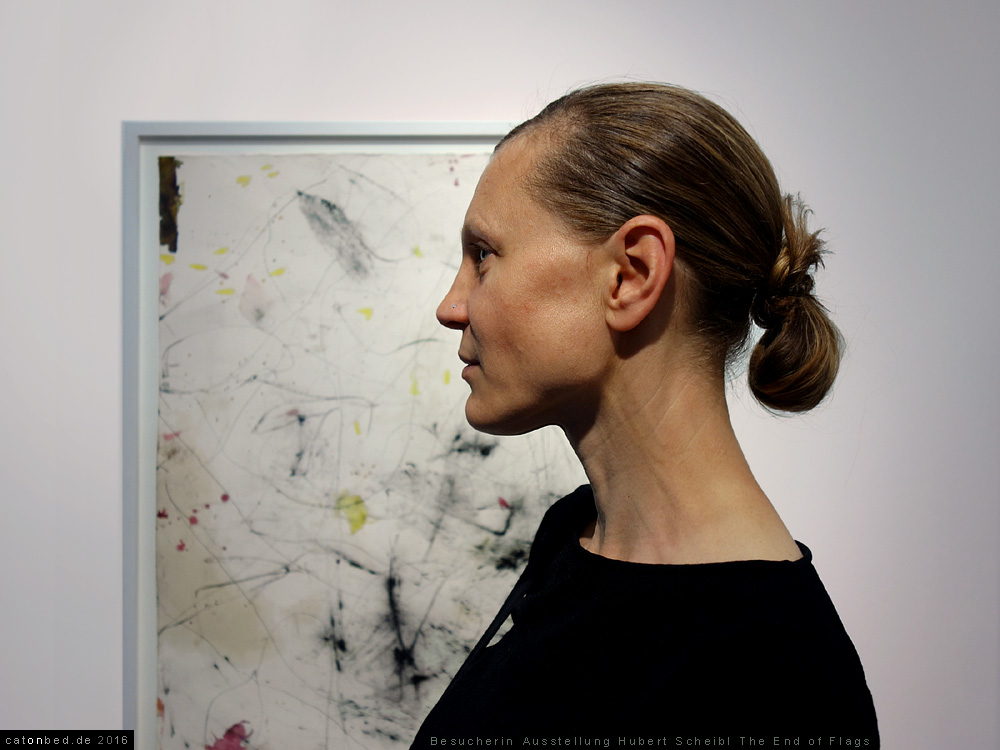 Ausstellung Hubert Scheibl
