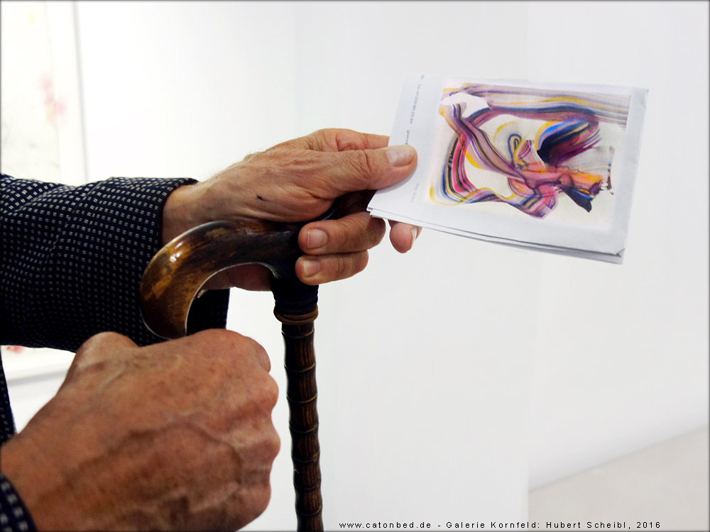 Ausstellung Hubert Scheibl