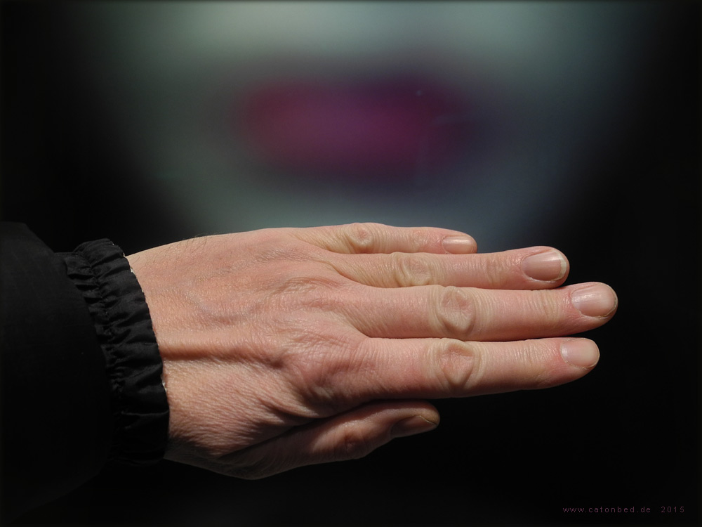 Jan  Sobottka Hand