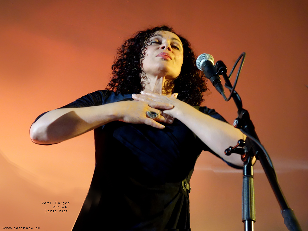 Yamil Borges, Gesang