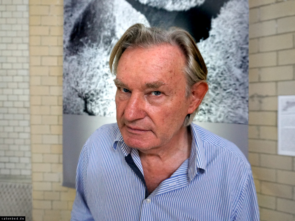 Der Künstler Ernst Vollant